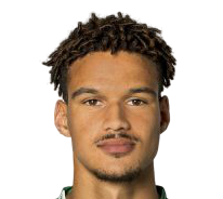 乔尔·菲利克斯